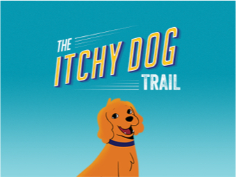 itchy-dog-trial.png